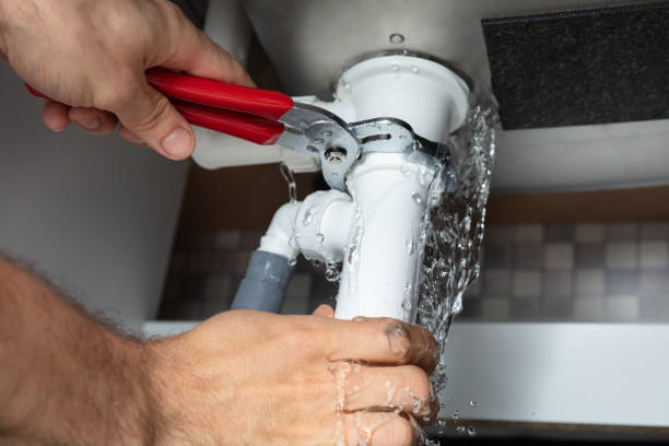 Best Professional water damage repair  in Schofield Barracks, HI