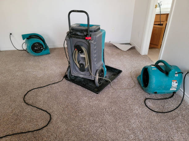 Best Carpet water damage restoration  in Schofield Barracks, HI