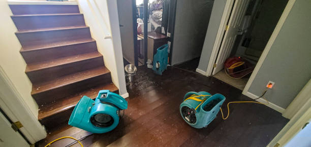 Best Flood restoration services  in Schofield Barracks, HI