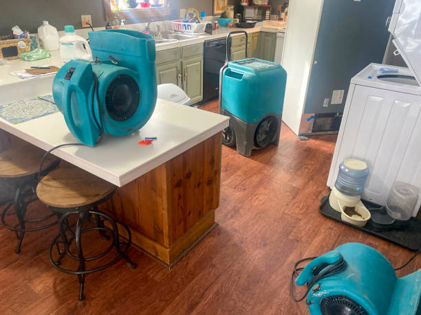 Best Commercial water damage restoration  in Schofield Barracks, HI