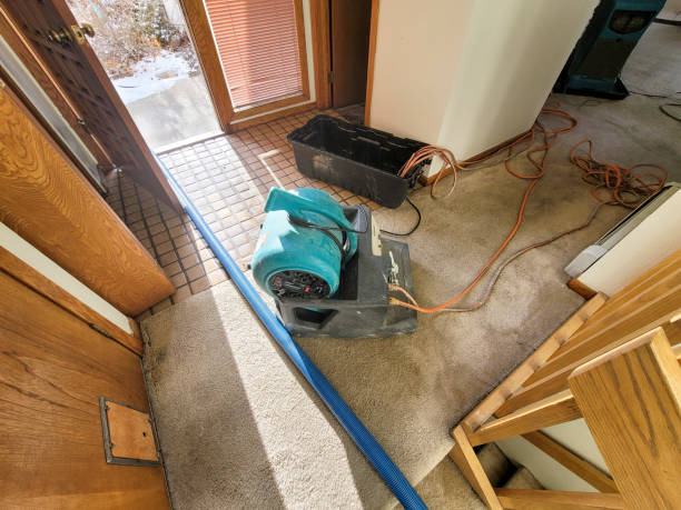 Local water damage restoration in HI
