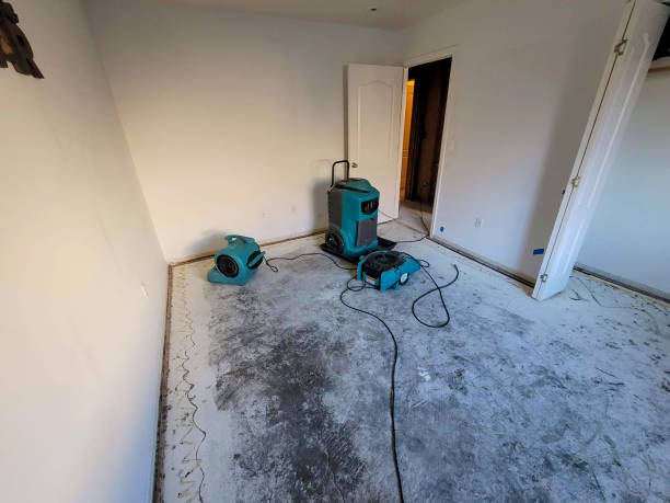 Fire Damage Restoration in HI