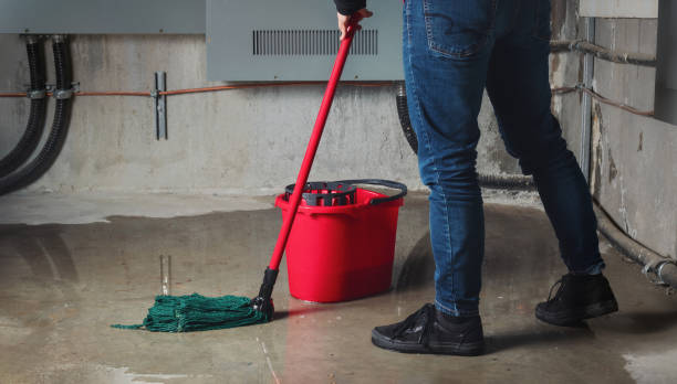 Best 24/7 water damage repair  in Schofield Barracks, HI