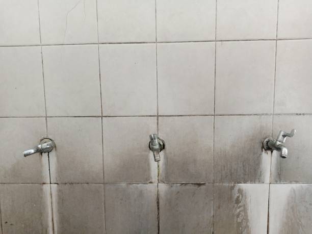 Best Basement water damage restoration  in Schofield Barracks, HI