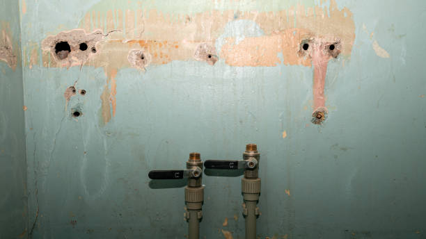Best Basement water damage restoration  in Schofield Barracks, HI