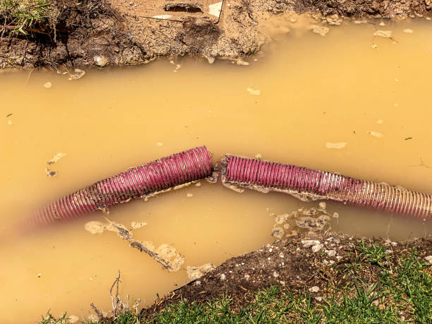Sewage cleanup and water damage restoration in HI