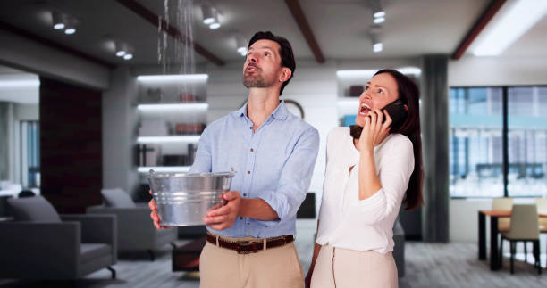 Best Professional water damage repair  in Schofield Barracks, HI