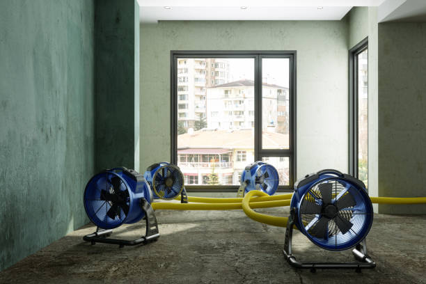 Best Ceiling water damage repair  in Schofield Barracks, HI