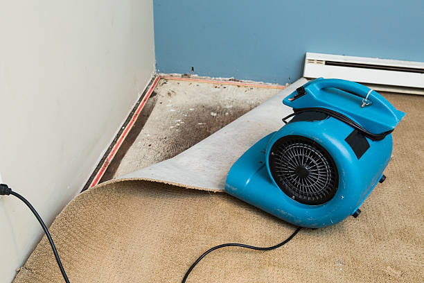 Best Carpet water damage restoration  in Schofield Barracks, HI